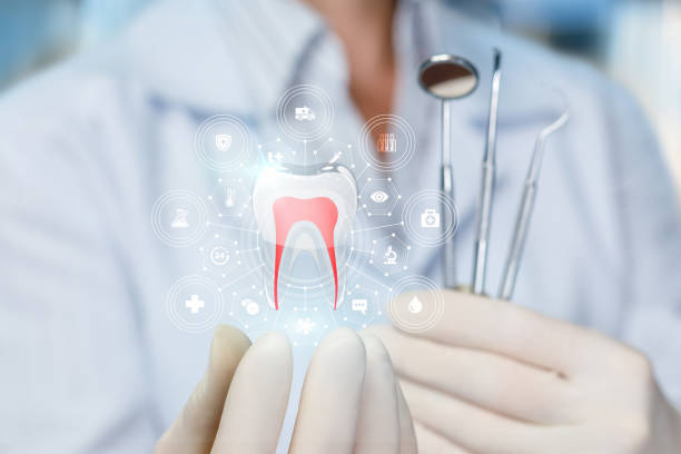 Reliable Laurence Harbor, NJ Holistic Dental Care Services Solutions